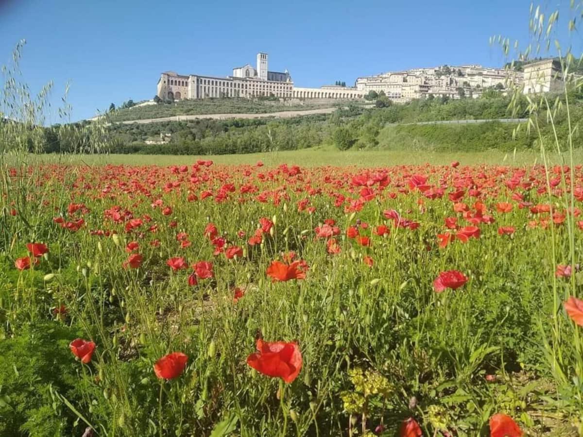 Casetta Delle Rose Ассізі Екстер'єр фото